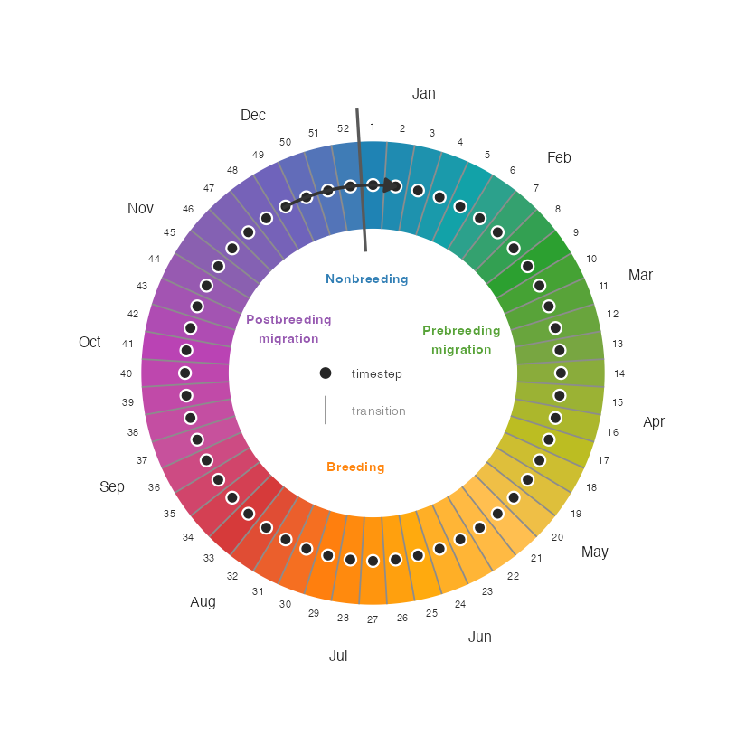 BirdFlow's 52-timestep circular year. Dots mark timesteps / weeks; lines between them mark transitions. Colors match the seasonal gradient used by `plot_routes()`. The bold line at the Dec/Jan boundary marks the year wrap-around. Season ranges shown are for American Woodcock.